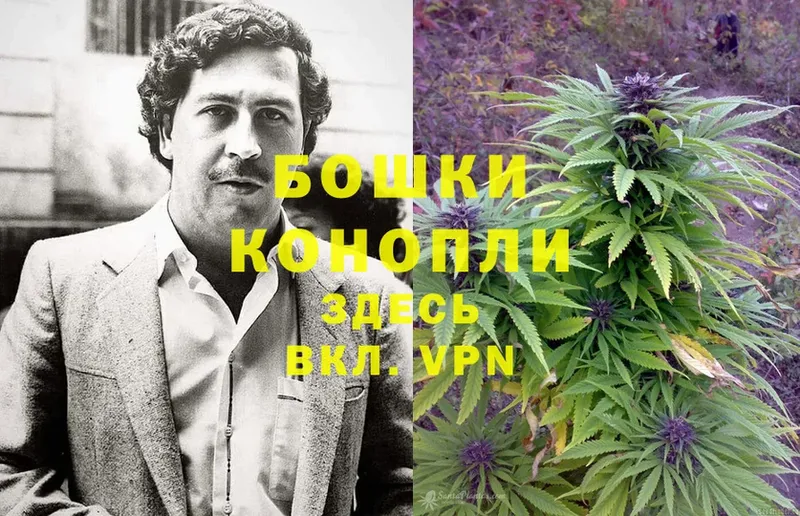 где купить наркоту  блэк спрут   Канабис LSD WEED  Дубовка 